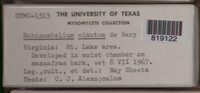 Image Associated With the Occurence